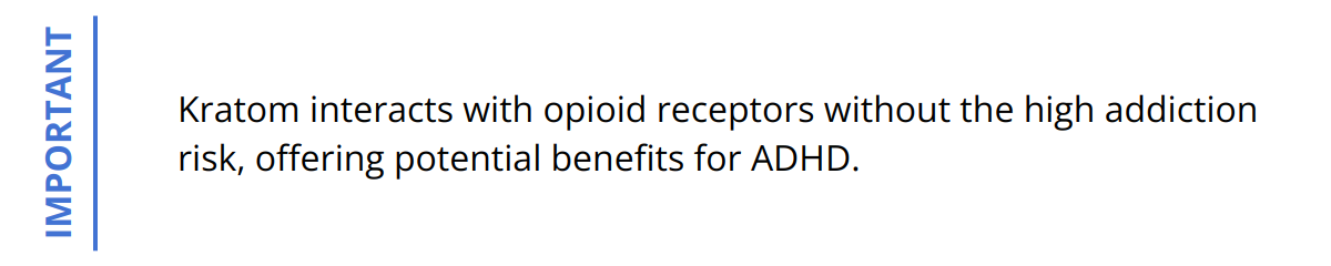 Important - Kratom interacts with opioid receptors without the high addiction risk, offering potential benefits for ADHD.