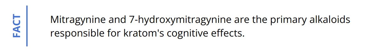 Fact - Mitragynine and 7-hydroxymitragynine are the primary alkaloids responsible for kratom's cognitive effects.