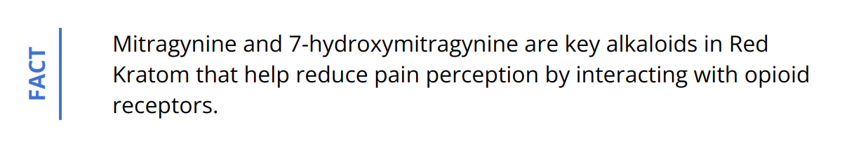 Fact - Mitragynine and 7-hydroxymitragynine are key alkaloids in Red Kratom that help reduce pain perception by interacting with opioid receptors.